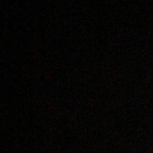 Meet your Posher, Shashauna